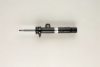 BMW 31316796160 Shock Absorber